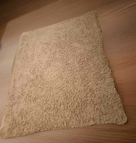 Photo of free Rug (Newhaven BN9) #1