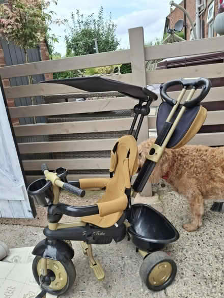 Photo of free Trike (S43 Staveley) #1