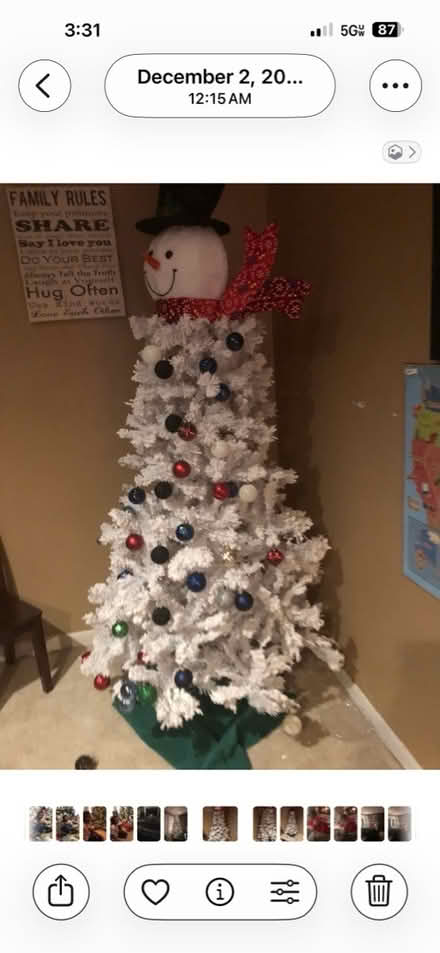 Photo of free Frosty Christmas tree (Elkridge near Port Capital) #3