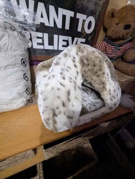 Photo of free Trio of Cat Igloo Beds (Heath & Reach LU7) #4