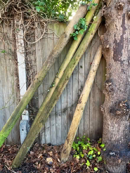Photo of free 10-20 large wooden fence poles (Surbiton KT6) #1