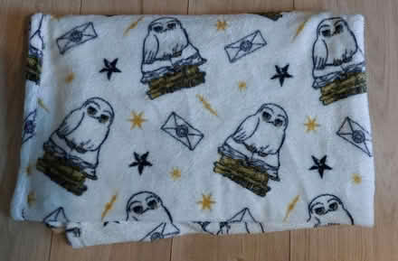 Photo of free Harry Potter blanket (Lower Caversham, RG4) #1