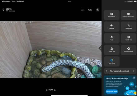 Photo of free Storm and vivarium (Plymouth PL1 3BR) #3