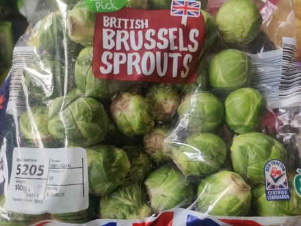 Photo of free Sprouts for christmas (Brooklands M23) #1