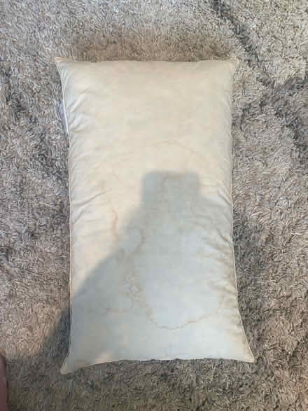 Photo of free Feather pillow (West Hampstead NW6) #1