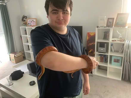 Photo of free Ronnie with vivarium (Plymouth PL1 3BR) #3