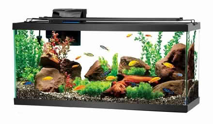 Photo of Fish Tank / Aquarium (Timperley WA15) #1