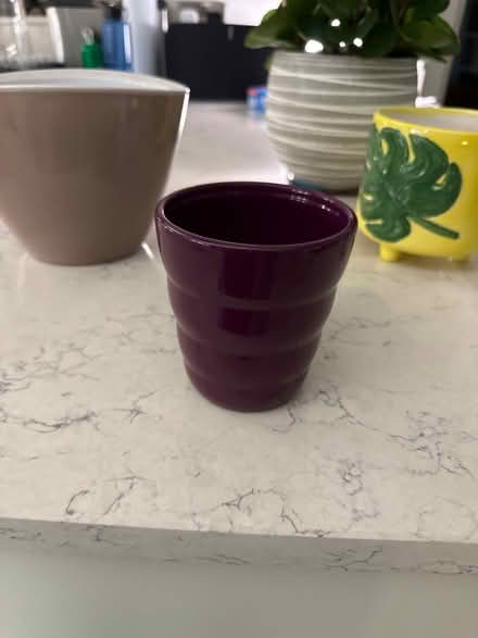 Photo of free 3 plant pots (Sale Moor M33) #3