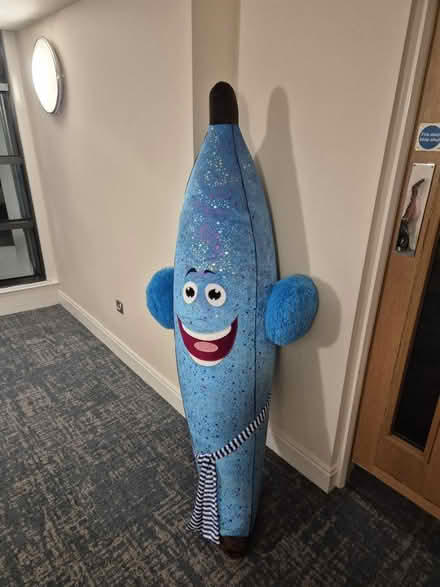 Photo of free Huge banana toy (W1h 1ju) #3