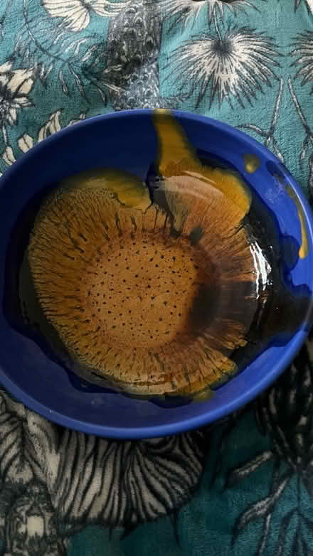 Photo of free Ceramic bowl (SW11) #1