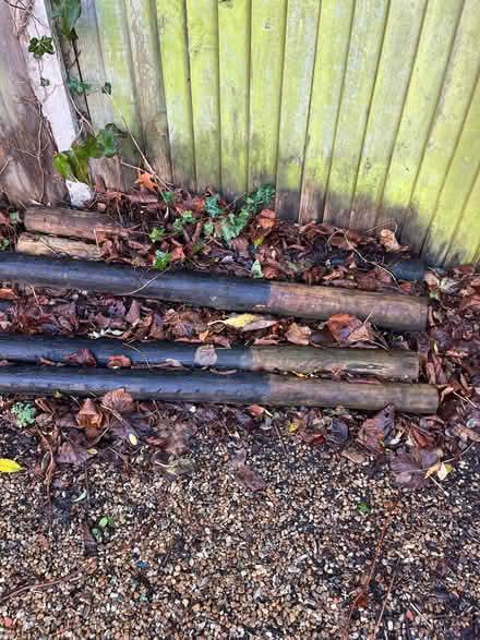 Photo of free 10-20 large wooden fence poles (Surbiton KT6) #2