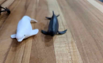 Photo of free "Office Potpourri for 500, Alex" (Broadview) #1