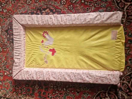 Photo of free Nappy mat, bottle brushes, harness (Didcot OX11) #1