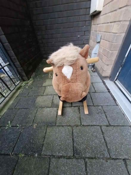 Photo of free Rocking horse (Lower Falinge Rochdale OL12) #3