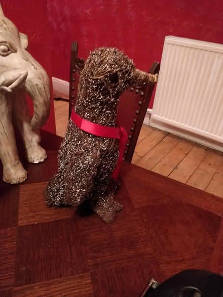 Photo of free Festive penguin (whiteinch, G14) #2