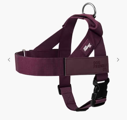 Photo of Dog Harness - Medium ‘anti-pulling’ (St Helens / Billinge) #2