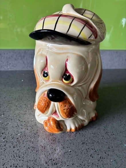 Photo of free Iconic doggie biscuit barrel / ornament (Hallatrow) #3