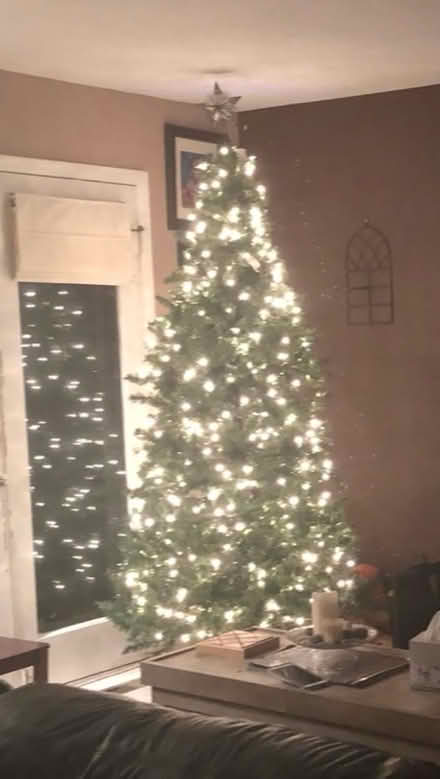 Photo of free Pre lit Christmas tree (Elkridge near Port Capital) #2
