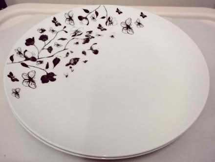 Photo of free 3 X25cm Dinner Plates (Hooley CR5) #1