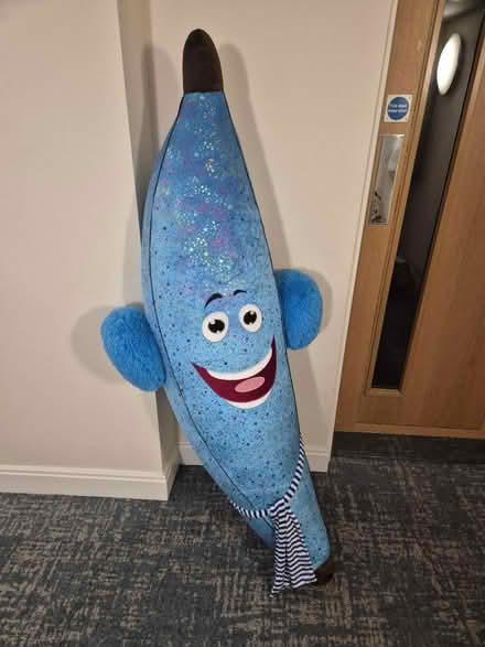 Photo of free Huge banana toy (W1h 1ju) #2