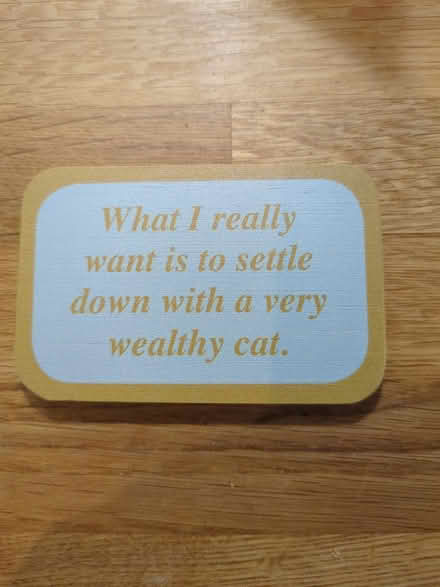 Photo of free 2 cat themed fridge magnets (Prenton CH43) #2