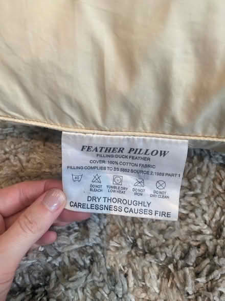 Photo of free Feather pillow (West Hampstead NW6) #2