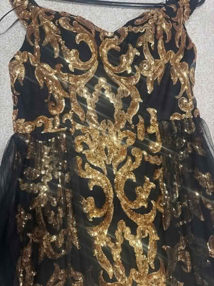 Photo of free Evening gown (Stuyvesant Heights) #3