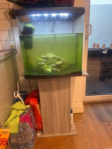 Photo of free Fish tank (Tw32db) #1