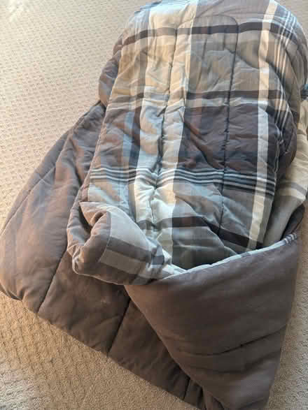 Photo of free King comforter (Ludlow ky) #1