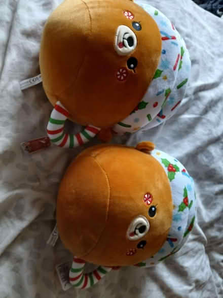 Photo of free Plushie Gingerbreads (Little Chester DE1) #1