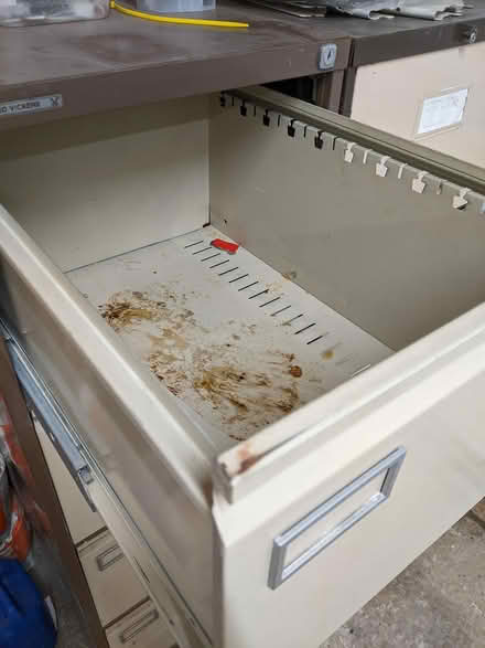 Photo of free 4-drawer filing cabinet x 2 (batchworth HA6) #3