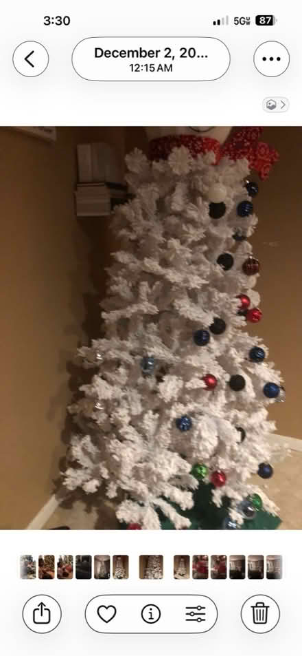 Photo of free Frosty Christmas tree (Elkridge near Port Capital) #2