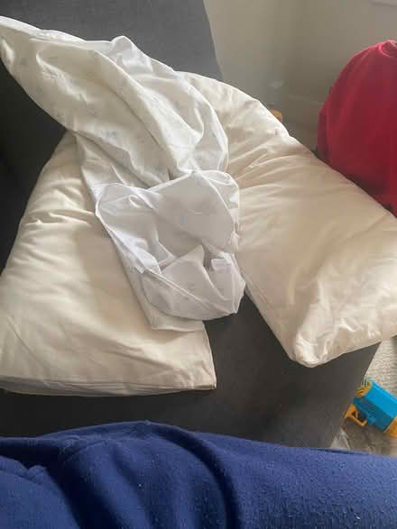 Photo of free Nursing pillow with cover sheet (SE20) #2