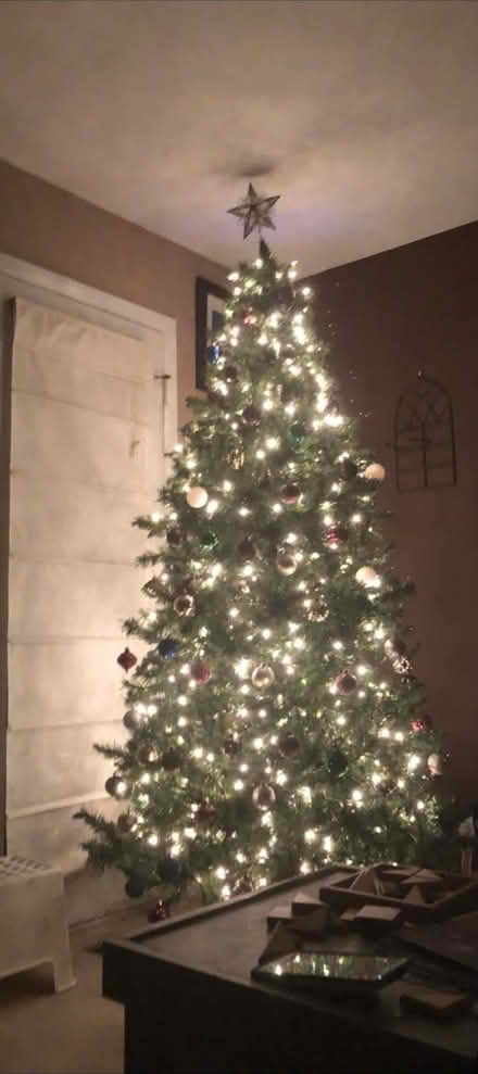 Photo of free Pre lit Christmas tree (Elkridge near Port Capital) #1
