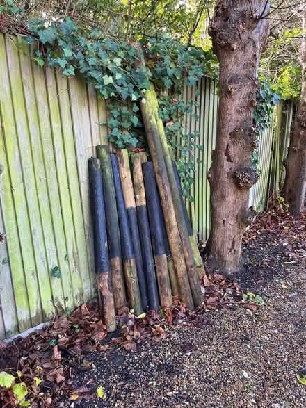 Photo of free 10-20 large wooden fence poles (Surbiton KT6) #3