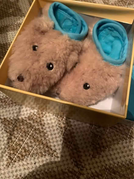 Photo of free Teddy slippers (Charlton) #1
