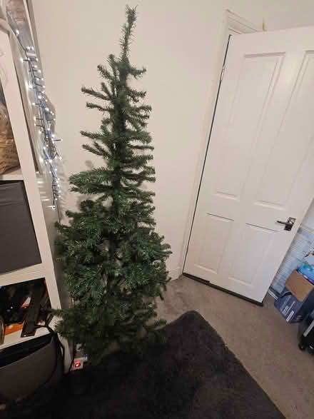 Photo of free Christmas tree (Ilford, IG1) #1