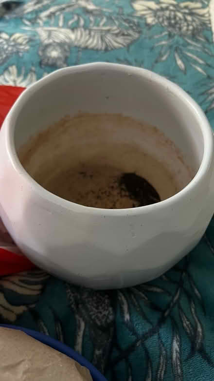 Photo of free White plant pot (SW11) #2