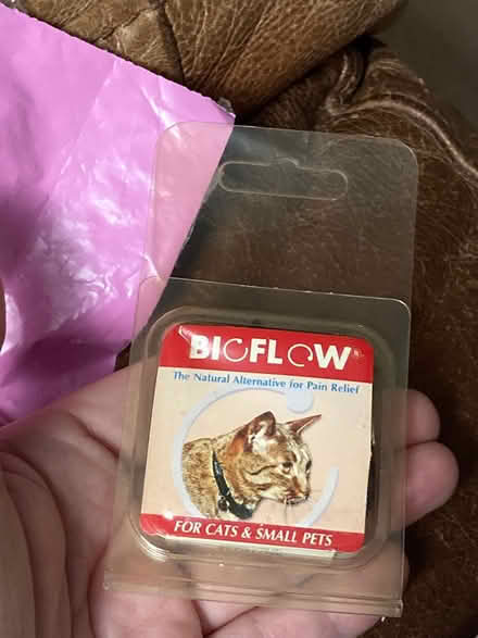 Photo of free Bioflow magnetic cat collar (CM12) #3