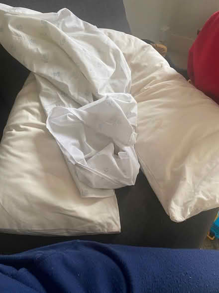 Photo of free Nursing pillow with cover sheet (SE20) #1
