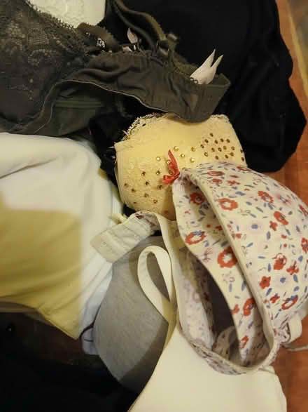 Photo of free Bra joblot (High Wycombe, HP11) #1