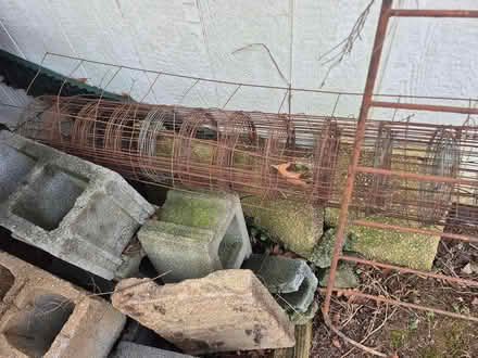 Photo of free metal fencing or rebar (20817) #1
