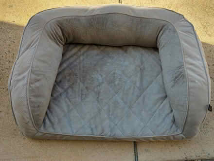 Photo of free Dog Bed Gray (Cary) #1