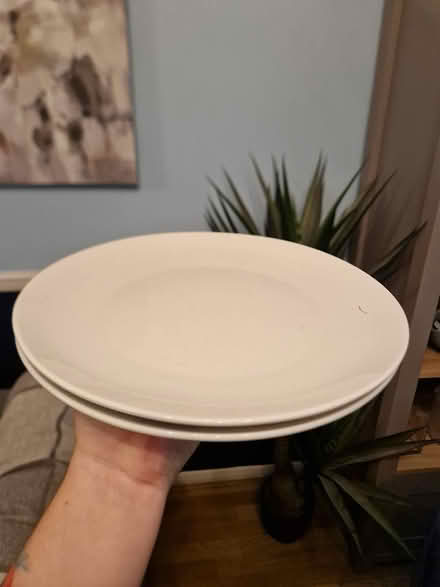 Photo of free 2 dinner plates (Ware SG12 0) #1