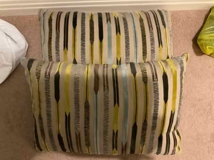 Photo of free Two cushions (Westdene BN1) #1