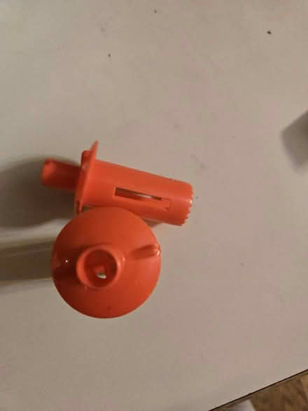 Photo of free Citrus sippers (El Sobrante) #1