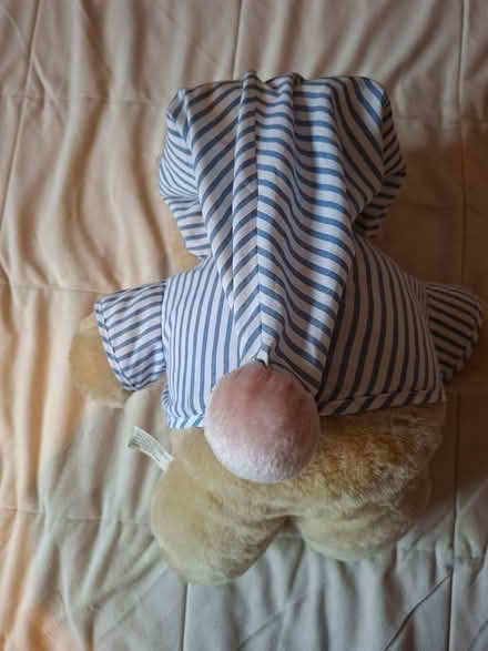 Photo of free Tomy Teddy (FK9 Bridge of Allan) #1