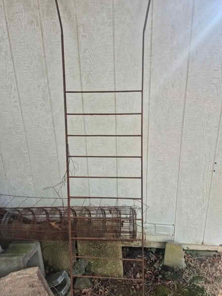 Photo of free metal trellis (20817) #1