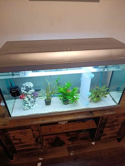 Photo of Small fish tank (Rhosllanerchrugog LL14) #1