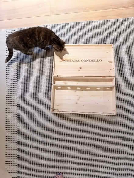 Photo of free Wooden wine box (West Common AL5) #2